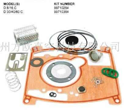 萊寶真空泵D16C-60C大維修包